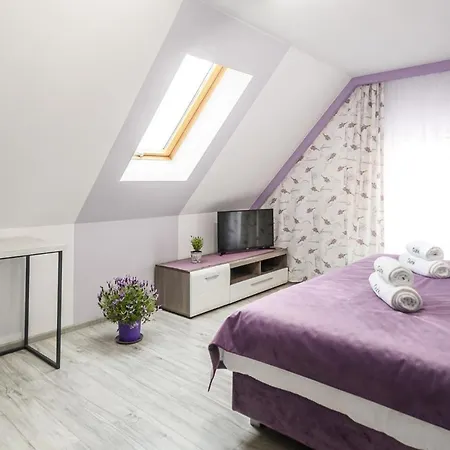 Pokoje, Noclegi, Dune 莱鲍